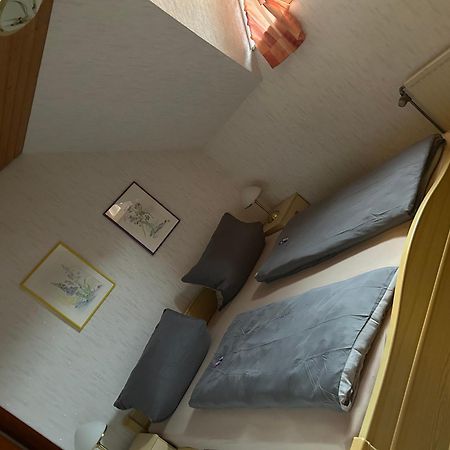 Birke 9, 10 Oder 11 Apartment Todtmoos Exterior photo