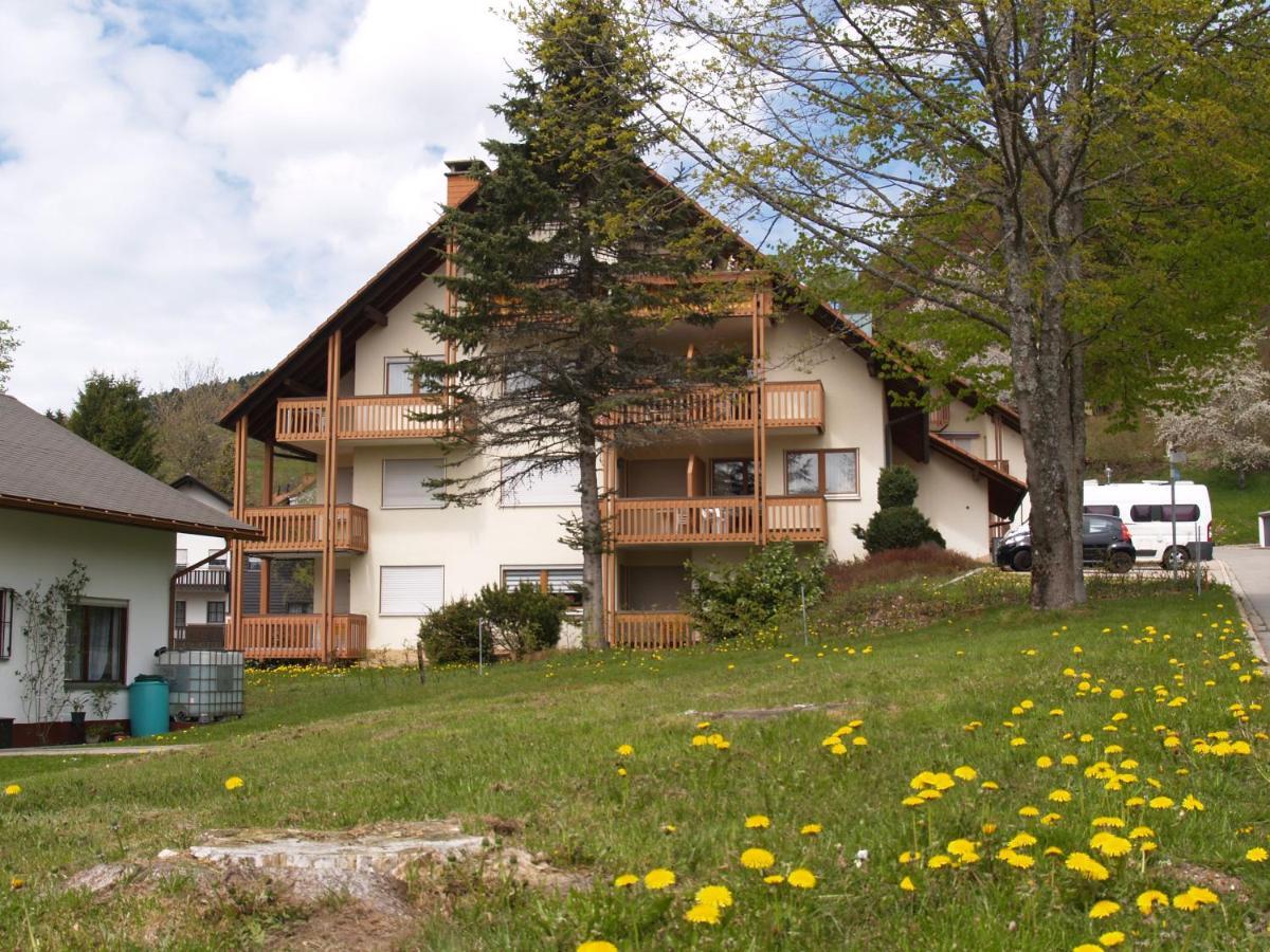 Birke 9, 10 Oder 11 Apartment Todtmoos Exterior photo