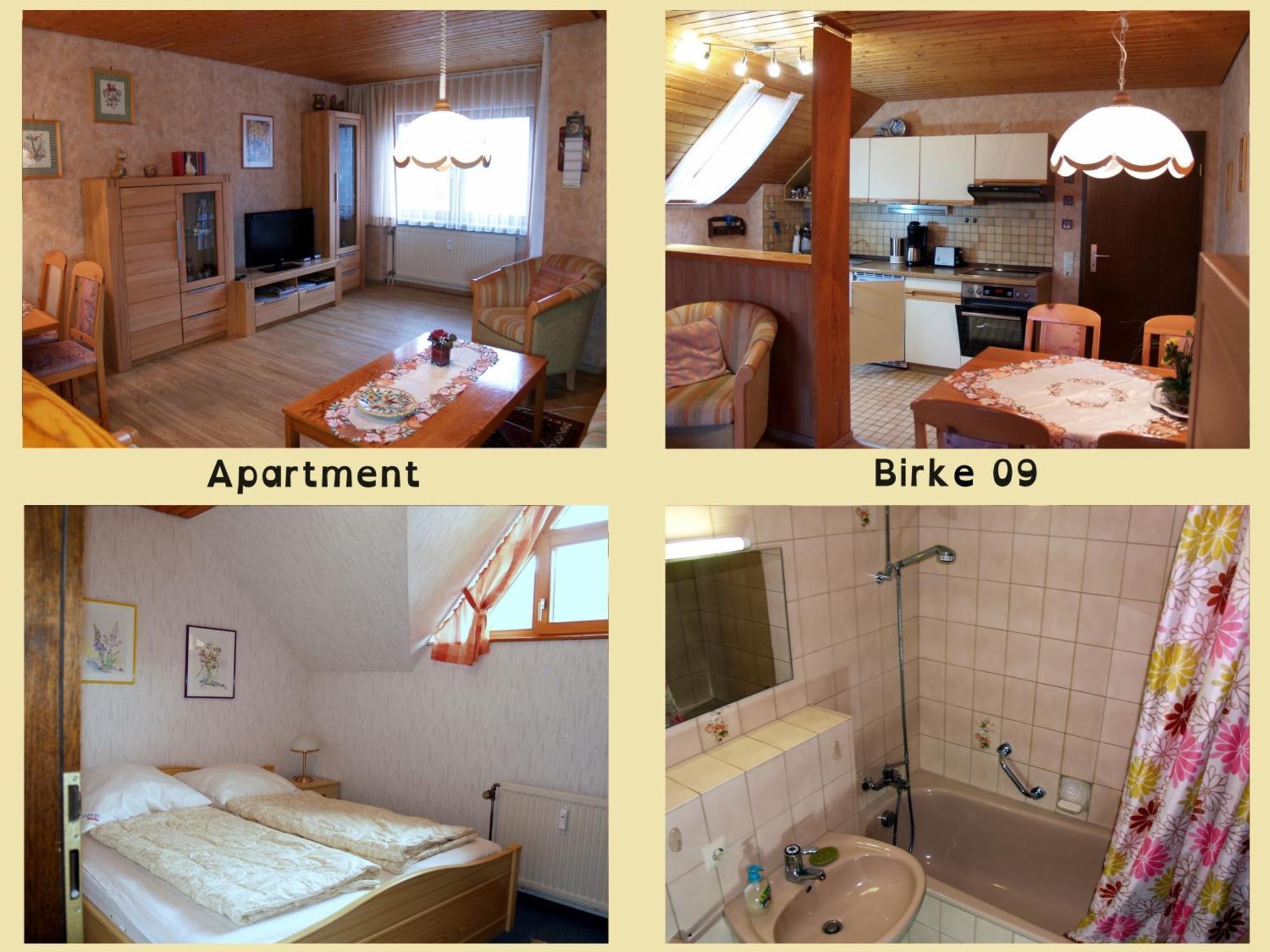 Birke 9, 10 Oder 11 Apartment Todtmoos Exterior photo